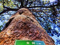 -香山公园