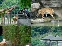 -宁波野生动物园