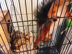 -MOJO密室逃脱(中街旗舰店)