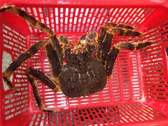 -蚝专家(北滘店)