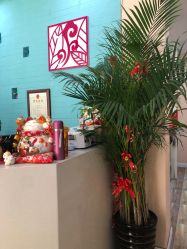 点击看大图 -AMI3·本沐皮肤管理中心