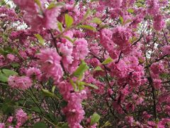 -长春市南湖公园