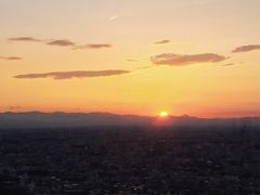 -涩谷区