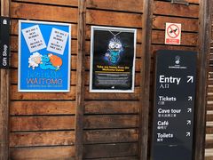 -怀托摩萤火虫洞