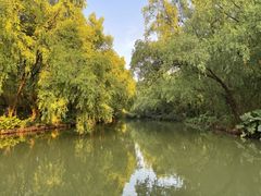-大湾区中央湿地公园