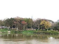 -海珠湖公园