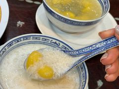 -大中鱼翅 Taitong Shark Fin