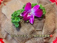 -黄家码头老火锅(解放碑旗舰店)