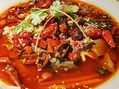 金牌毛血旺-辛香汇·现炒川菜(淮海路百盛店)