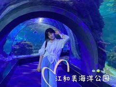 -江和美海洋公园