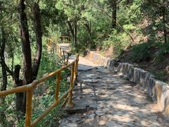-北京上方山国家森林公园