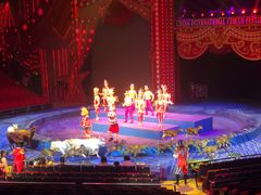 -珠海横琴长隆《卡卡虎奇遇记》