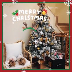 -Doria salon 小颜皮肤