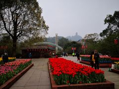 -南山植物园