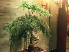 -翠清酒家(万丰路店)