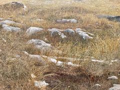 -江苏省美术馆(长江路新馆)