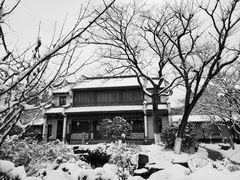 -荆川公园