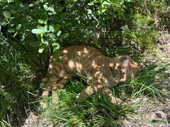 -终南山南五台景区