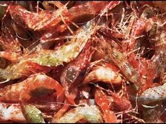 -桂马·日本料理·海胆·海鲜饭·酒场(民主广场店)