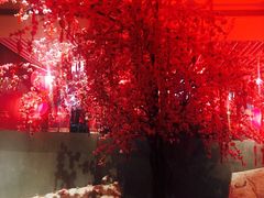 -上海外滩英迪格酒店