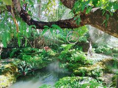 -Chom Cafe and Restaurant