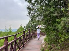 -北京凤凰岭