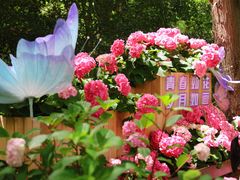 -上海滨江森林公园