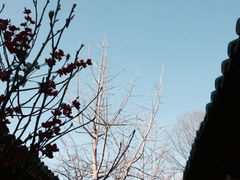 iphone_upload_pic-北京阅微庄四合院文化特色酒店