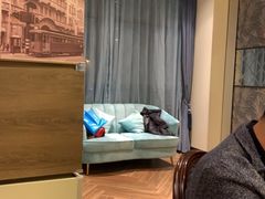 -上海小南国(金桥国际广场店)