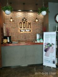 -ODIN 奥丁形象设计 