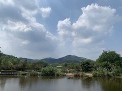 -石塘人家