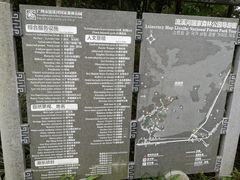 -广州市流溪河国家森林公园