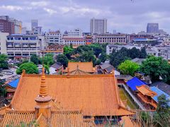 -昆明动物园