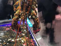 -盒马鲜生(昆城店)