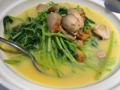 上汤白苋菜-京味斋·北京烤鸭(华威桥北工大店)