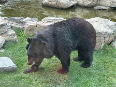 -北京野生动物园