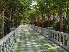 -百万葵园