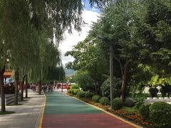 -江心岛