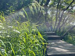 -白草畔自然风景区