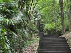 -凤栖山