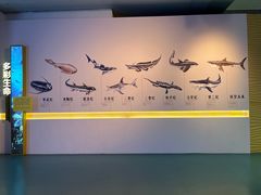 -上海中国航海博物馆