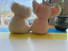 -了不起的考拉咖啡店(高新店)