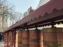 -护国法轮寺