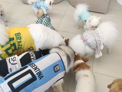 -怪兽屋·羊驼·猫咖·狗咖(俊华广场店)