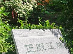 -佛慧山