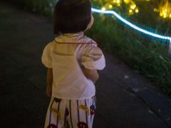 -洋湖国家湿地公园