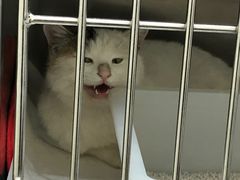 -美联众合动物医院·24h京西诊疗中心