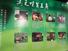 -滇之味菌王府(福建路店)
