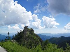 -朱雀国家森林公园