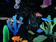 -珠海长隆海洋王国